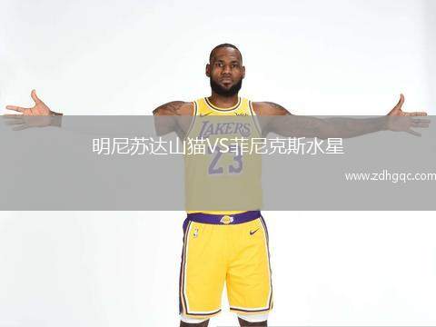 明尼蘇達(dá)山貓VS菲尼克斯水星