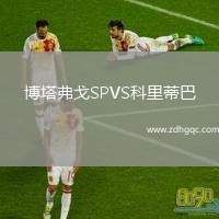 博塔弗戈SPVS科里蒂巴