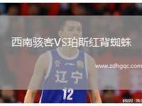 西南駭客VS珀斯紅背蜘蛛