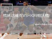 格林達(dá)維克VSHK科帕沃格