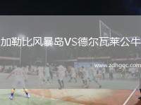 加勒比風(fēng)暴島VS德?tīng)柾呷R公牛