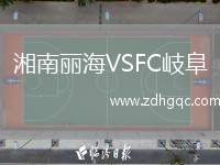 湘南麗海VSFC岐阜