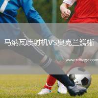 馬納瓦噴射機VS奧克蘭鱷蜥