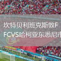 坎特貝利班克斯敦FCVS哈柯亞?wèn)|悉尼市