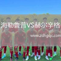 海勒魯普VS赫爾辛格