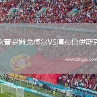 坎普羅姆戈梅爾VS博布魯伊斯克