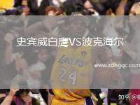 史賓威白鷹VS波克海爾