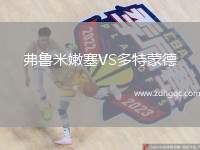 弗魯米嫩塞VS多特蒙德