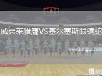 威弗萊獵鷹VS基爾塞斯眼鏡蛇