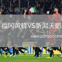 福岡黃蜂VS新潟天鵝