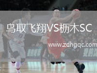 鳥(niǎo)取飛翔VS櫪木SC