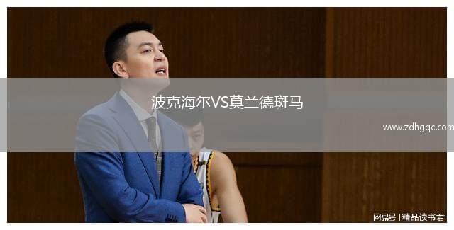 波克海爾VS莫蘭德斑馬