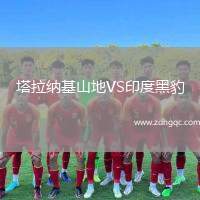 塔拉納基山地VS印度黑豹