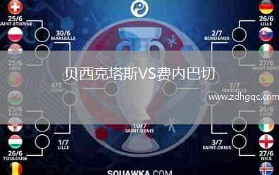 貝西克塔斯VS費內(nèi)巴切