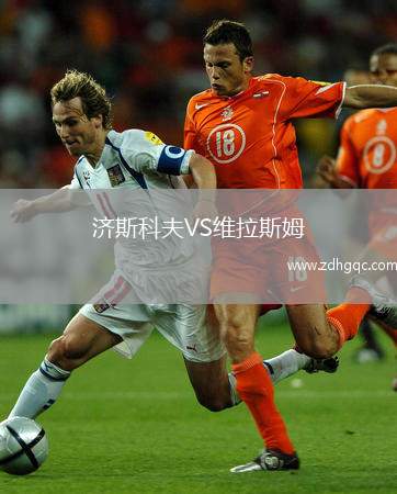 濟斯科夫VS維拉斯姆