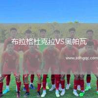 布拉格杜克拉VS奧帕瓦