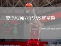 夏洛特獨(dú)立B隊(duì)VS煙草路