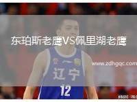 東珀斯老鷹VS佩里湖老鷹
