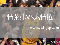 特萊弗VS索特拉
