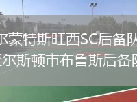 貝爾蒙特斯旺西SC后備隊(duì)VS查爾斯頓市布魯斯后備隊(duì)