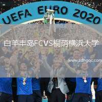 白羊豐島FCVS桐蔭橫浜大學