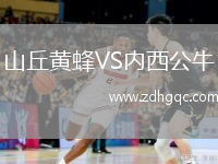 山丘黃蜂VS內(nèi)西公牛