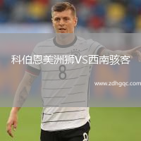 科伯恩美洲獅VS西南駭客