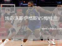 埃奇沃斯伊格斯VS梅特蘭