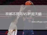 京都不死鳥VS新潟天鵝