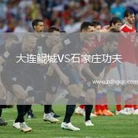 大連鯤城VS石家莊功夫