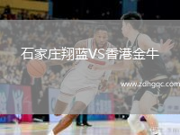 石家莊翔藍(lán)VS香港金牛
