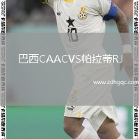 巴西CAACVS帕拉蒂RJ