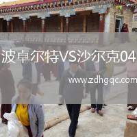 波卓爾特VS沙爾克04