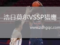 浩日莫爾VSSP獵鷹