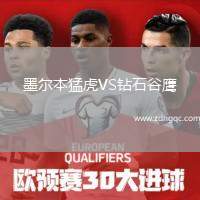 墨爾本猛虎VS鉆石谷鷹