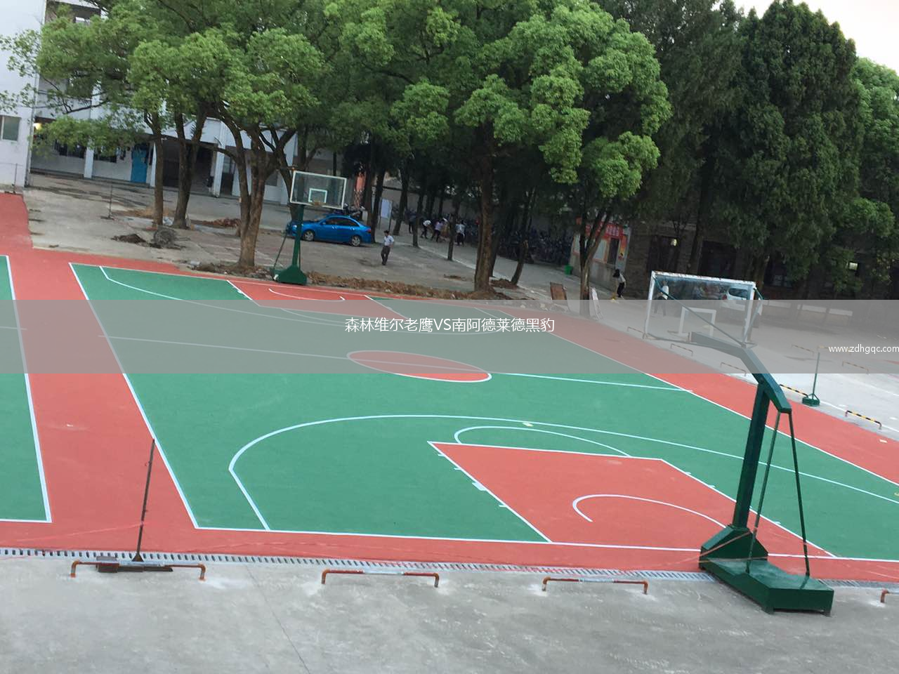森林維爾老鷹VS南阿德萊德黑豹
