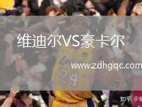 維迪爾VS豪卡爾
