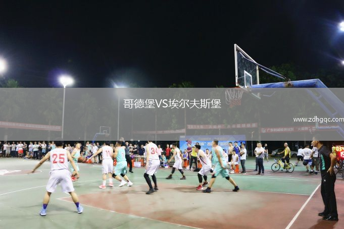 哥德堡VS埃爾夫斯堡