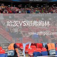 哈茨VS鄧弗姆林