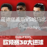 哥德堡蓋斯VS哈馬比