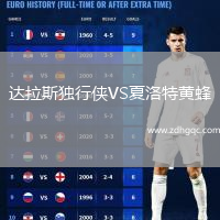 達拉斯獨行俠VS夏洛特黃蜂