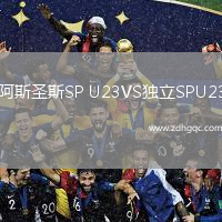 阿斯圣斯SP U23VS獨(dú)立SPU23