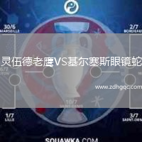 靈伍德老鷹VS基爾塞斯眼鏡蛇