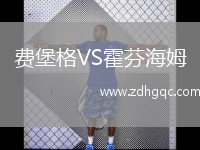 費(fèi)堡格VS霍芬海姆