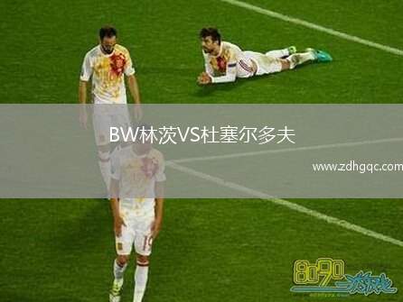 BW林茨VS杜塞爾多夫