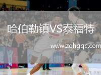 哈伯勒鎮(zhèn)VS泰福特