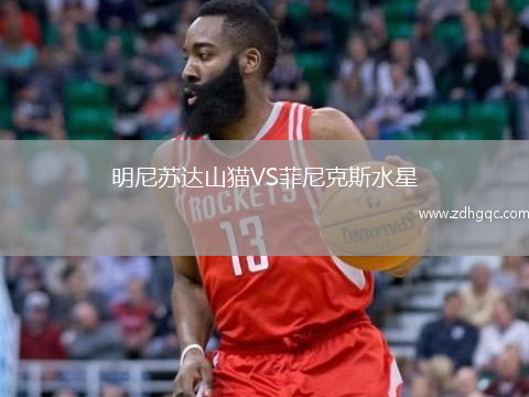明尼蘇達(dá)山貓VS菲尼克斯水星