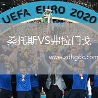 桑托斯VS弗拉門(mén)戈