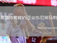 夏洛特黃蜂VS圣安東尼奧馬刺