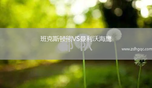 班克斯頓熊VS曼利沃海鷹